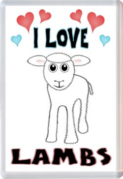 I Love Lambs - Double Sided Large Keyring Key Fob Chain Ring Name Tag Gift Present Souvenir