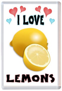 I Love Lemons - Jumbo Fridge Magnet Souvenir Gift Present