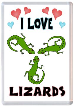 I Love Lizards - Jumbo Fridge Magnet Souvenir Gift Present