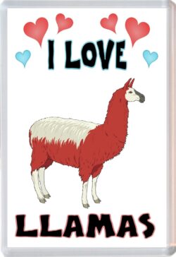 I Love Llamas - Jumbo Fridge Magnet Souvenir Gift Present
