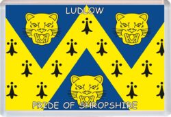 Ludlow - Pride of Shropshire County Flag - Jumbo Fridge Magnet Souvenir Gift