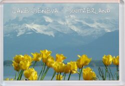Lake Geneva - Switzerland - Jumbo Fridge Magnet Souvenir Gift