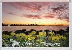 Lake Ontario - Toronto - Canada - Jumbo Fridge Magnet Souvenir Gift Present