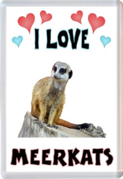 I Love Meerkats - Jumbo Fridge Magnet Souvenir Gift Present