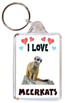 I Love Meerkats - Double Sided Large Keyring Key Fob Chain Ring Name Tag Gift Present Souvenir