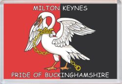 Milton Keynes - Pride of Buckinghamshire County Flag - Jumbo Fridge Magnet Souvenir Gift Present