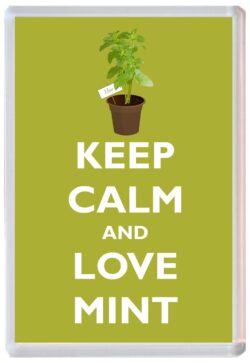 Keep Calm and Love Mint - Jumbo Fridge Magnet Souvenir Gift Present