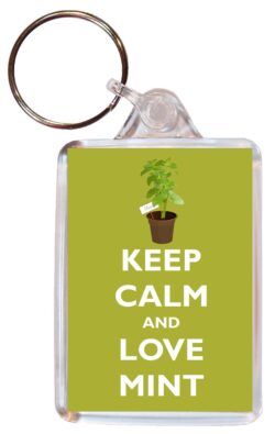 Keep Calm and Love Mint - Double Sided Large Keyring Key Ring Fob Chain Name Tag Gift Present Souvenir