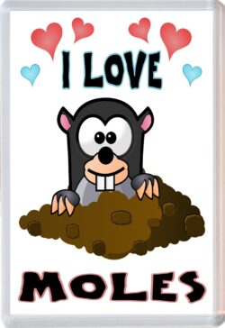 I Love Moles - Jumbo Fridge Magnet Souvenir Gift Present