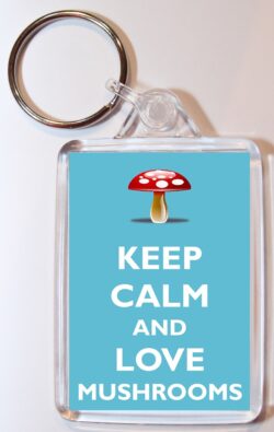 Keep Calm and Love Mushrooms - Double Sided Large Keyring Key Ring Fob Chain Name Tag Gift Present Souvenir
