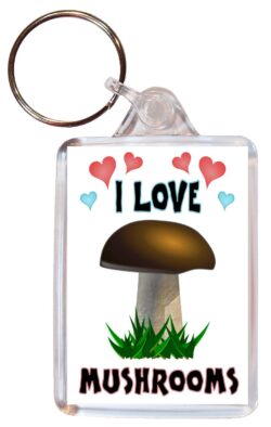 I Love Mushrooms - Double Sided Large Keyring Key Fob Chain Ring Name Tag Gift Present Souvenir