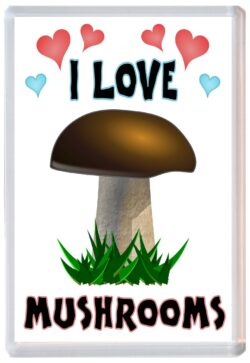 I Love Mushrooms - Jumbo Fridge Magnet Souvenir Gift Present
