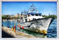 Mallorca - Balearic Islands - Spain - 4 PACK - Jumbo Fridge Magnet Souvenir Gift Present