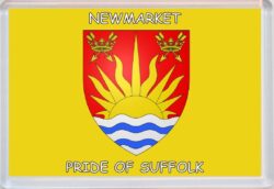 Newmarket - Pride of Suffolk County Flag - Jumbo Fridge Magnet Souvenir Gift