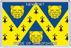 Newport - Pride of Shropshire County Flag - Jumbo Fridge Magnet Souvenir Gift