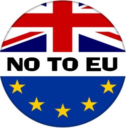 No To EU - 59mm Badge Referendum Brexit European Union EU Vote Leave Stay