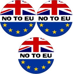 No To EU - 3 PACK - 59mm Badge Referendum Brexit European Union EU Vote Leave Stay