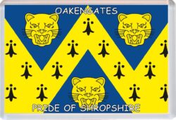 Oakengates - Pride of Shropshire County Flag - Jumbo Fridge Magnet Souvenir Gift