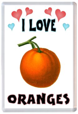 I Love Oranges - Jumbo Fridge Magnet Souvenir Gift Present