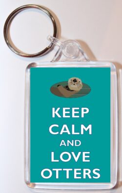 Keep Calm and Love Otters - Double Sided Large Keyring Key Ring Fob Chain Name Tag Gift Present Souvenir
