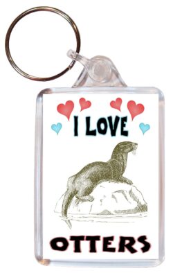 I Love Otters - Double Sided Large Keyring Key Fob Chain Ring Name Tag Gift Present Souvenir