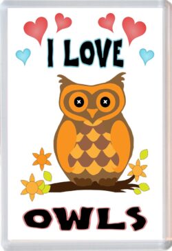 I Love Owls - Jumbo Fridge Magnet Souvenir Gift Present