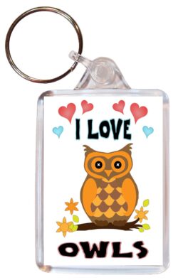 I Love Owls - Double Sided Large Keyring Key Fob Chain Ring Name Tag Gift Present Souvenir