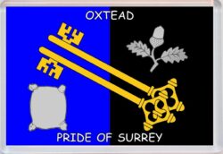 Oxtead - Pride of Surrey County Flag - Jumbo Fridge Magnet Souvenir Gift