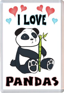 I Love Pandas - Jumbo Fridge Magnet Souvenir Gift Present