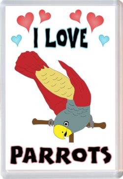 I Love Parrots - Jumbo Fridge Magnet Souvenir Gift Present