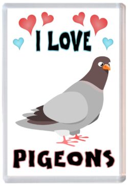 I Love Pigeons - Jumbo Fridge Magnet Souvenir Gift Present