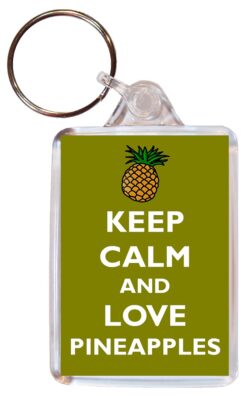 Keep Calm and Love Pineapples - Double Sided Large Keyring Key Ring Fob Chain Name Tag Gift Present Souvenir