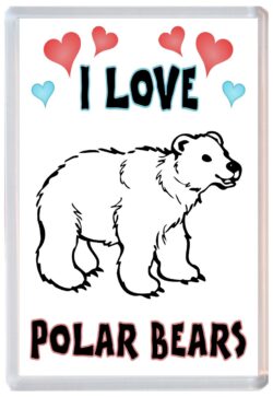 I Love Polar Bears - Jumbo Fridge Magnet Souvenir Gift Present