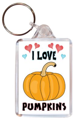 I Love Pumpkins - Double Sided Large Keyring Key Fob Chain Ring Name Tag Gift Present Souvenir