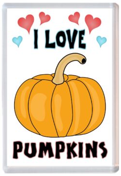 I Love Pumpkins - Jumbo Fridge Magnet Souvenir Gift Present