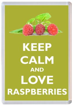 Keep Calm and Love Raspberries - Jumbo Fridge Magnet Souvenir Gift Present
