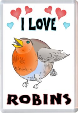 I Love Robins - Jumbo Fridge Magnet Souvenir Gift Present