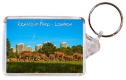 Richmond Park - London - Double Sided Large Keyring Key Fob Chain Ring Gift Present Souvenir