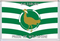 Salisbury - Pride of Wiltshire County Flag - Jumbo Fridge Magnet Souvenir Gift Present