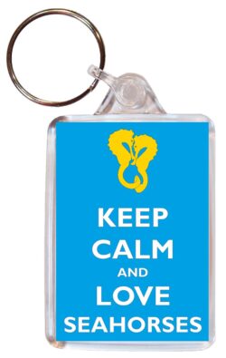Keep Calm and Love Seahorses - Double Sided Large Keyring Key Ring Fob Chain Name Tag Gift Present Souvenir