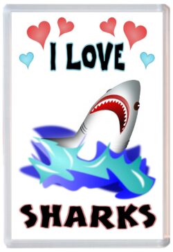 I Love Sharks - Jumbo Fridge Magnet Souvenir Gift Present