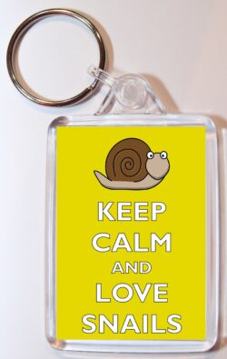 Keep Calm and Love Snails - Double Sided Large Keyring Key Ring Fob Chain Name Tag Gift Present Souvenir