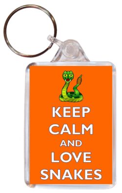 Keep Calm and Love Snakes - Jumbo Fridge Magnet Souvenir Gift Present