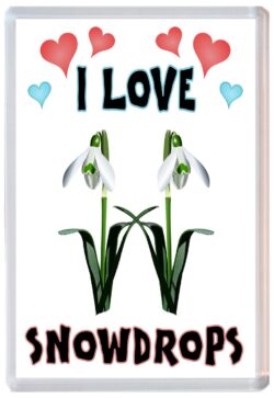 I Love Snowdrops - Jumbo Fridge Magnet Souvenir Gift Present