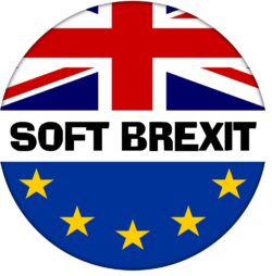 Soft Brexit - 59mm Badge Referendum Brexit European Union EU Vote Leave Stay