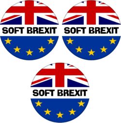 Soft Brexit - 3 PACK - 59mm Badge Referendum Brexit European Union EU Vote Leave Stay