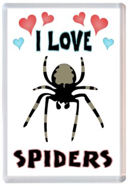 I Love Spiders - Jumbo Fridge Magnet Souvenir Gift Present