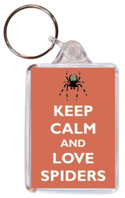 Keep Calm and Love Spiders - Jumbo Fridge Magnet Souvenir Gift Present
