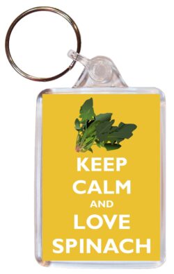 Keep Calm and Love Spinach - Double Sided Large Keyring Key Ring Fob Chain Name Tag Gift Present Souvenir