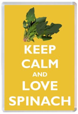 Keep Calm and Love Spinach - Jumbo Fridge Magnet Souvenir Gift Present